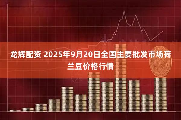 龙辉配资 2025年9月20日全国主要批发市场荷兰豆价格行情