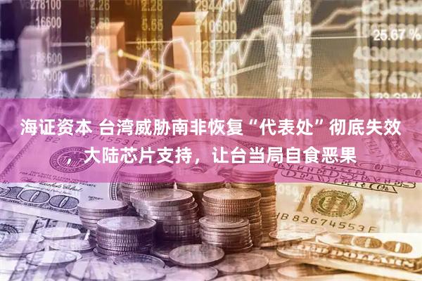 海证资本 台湾威胁南非恢复“代表处”彻底失效，大陆芯片支持，让台当局自食恶果