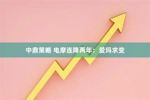 中鼎策略 电摩连降两年：爱玛求变